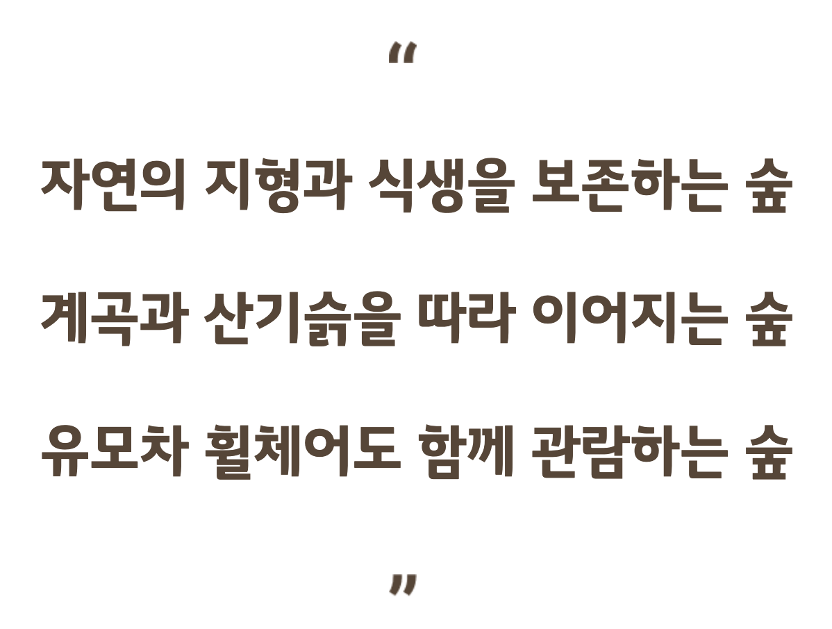 화담숲 예약 입장료 화담채 