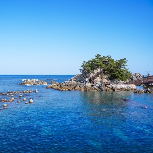 삼척 가볼만한곳