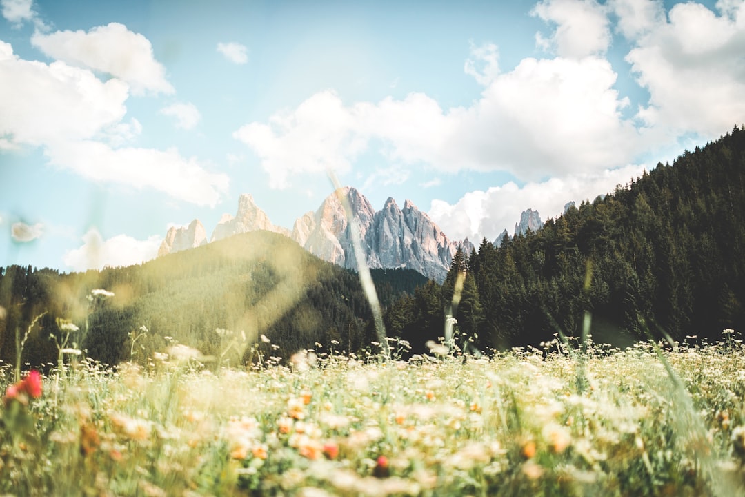 Dolomite