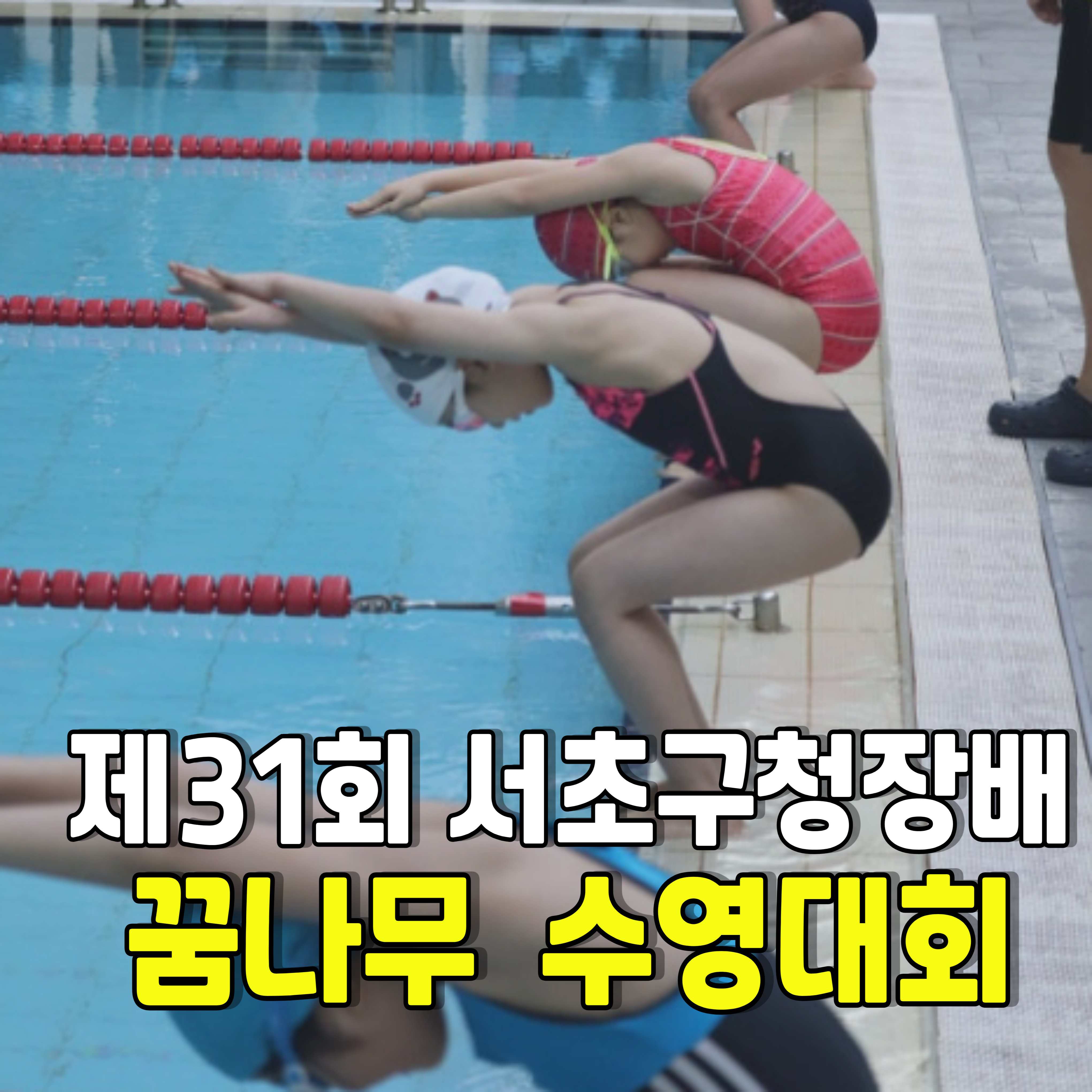 서초구청장배-수영대회