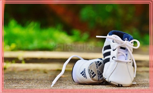 어린이집 생일선물 추천