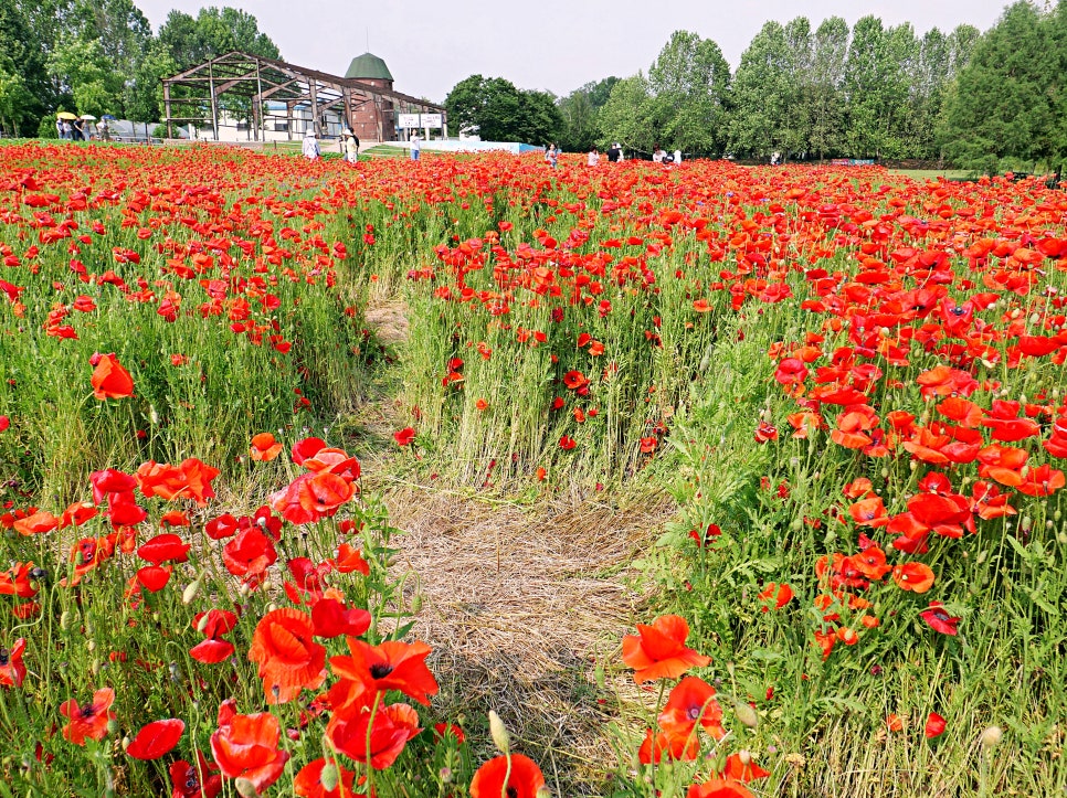 수원 탑동시민농장