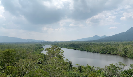 푸꾸옥 후추농장