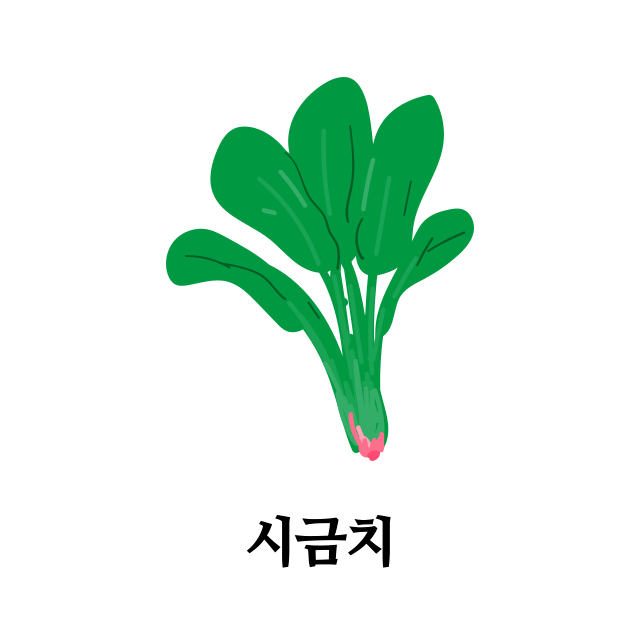 단백질-많은-음식