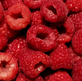 섬유근육통에 좋은 음식 영양제 식단