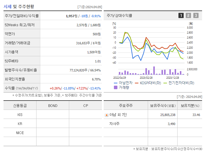 아남전자_기업개요