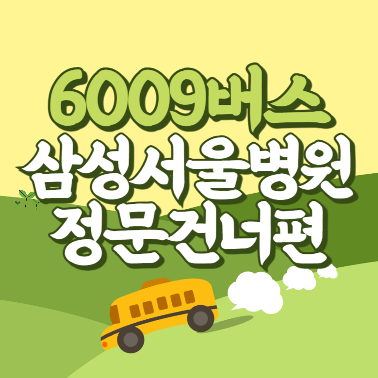 삼성서울병원정문건너편에서 인천공항 리무진 공항버스(6009번) 썸네일