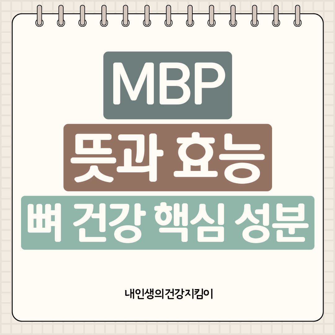 MBP 뜻과 효능 5가지, 칼슘보다 중요한 뼈 건강 핵심 성분
