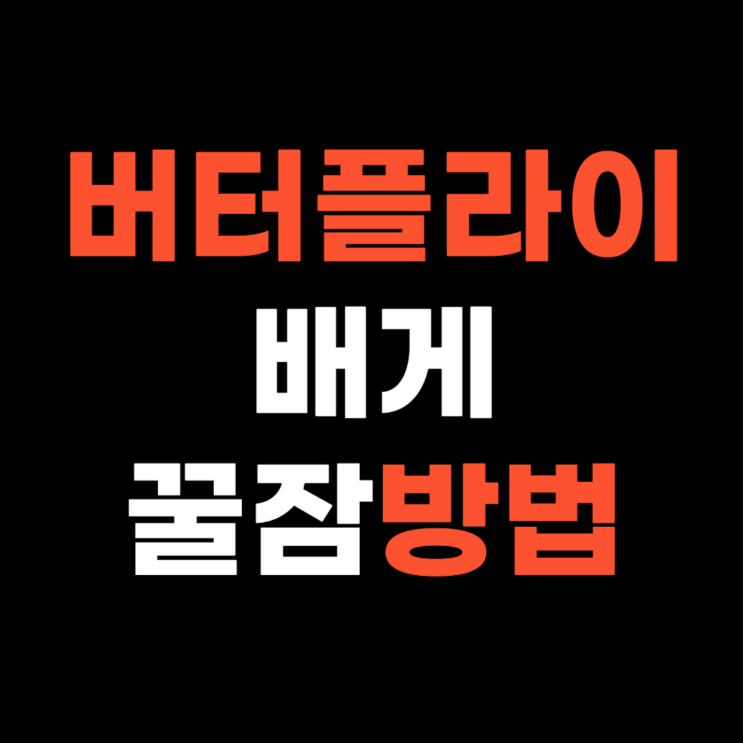 버터플라이 베개로 꿀잠 자기 방법