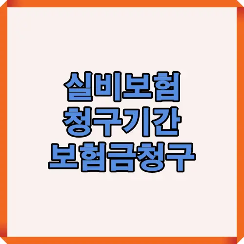실비보험 청구기간의 기본 규정과 3년 이내 청구 원칙, 진료 후 즉시 청구를 권장하는 이유를 정리한 인포그래픽. 청구 시기별 주의사항을 한눈에 볼 수 있음.