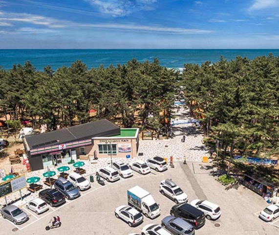 연곡솔향기 캠핑장 예약방법 및 이용방법 총정리