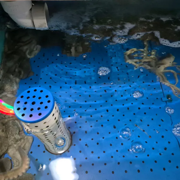 생생정보 음식점 위치