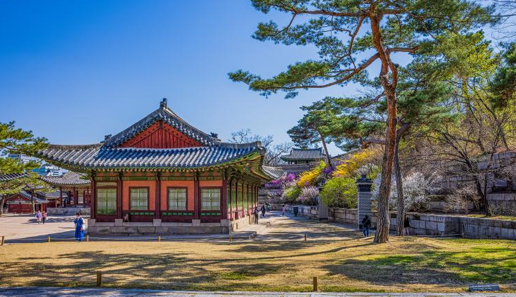 창경궁 야간개장 3가지 알아보기