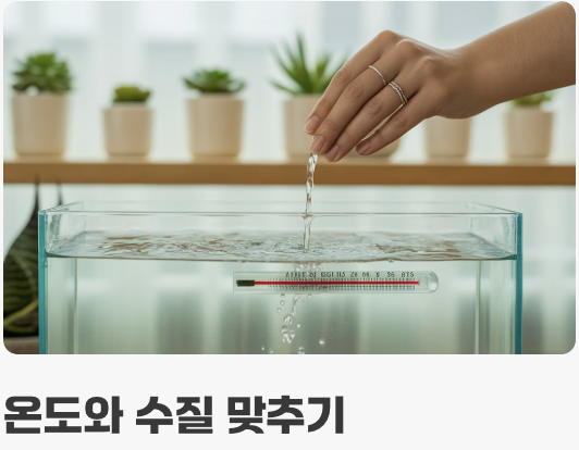 건강하게 오래 함께하는 법