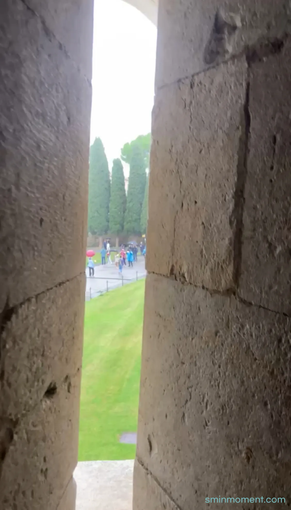 피사-피사의사탑-전망대-내려가는길-나무가보여