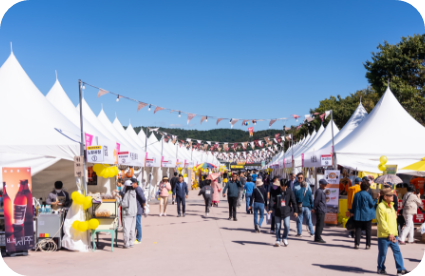 횡성한우축제 2025 이것만 보면 끝
