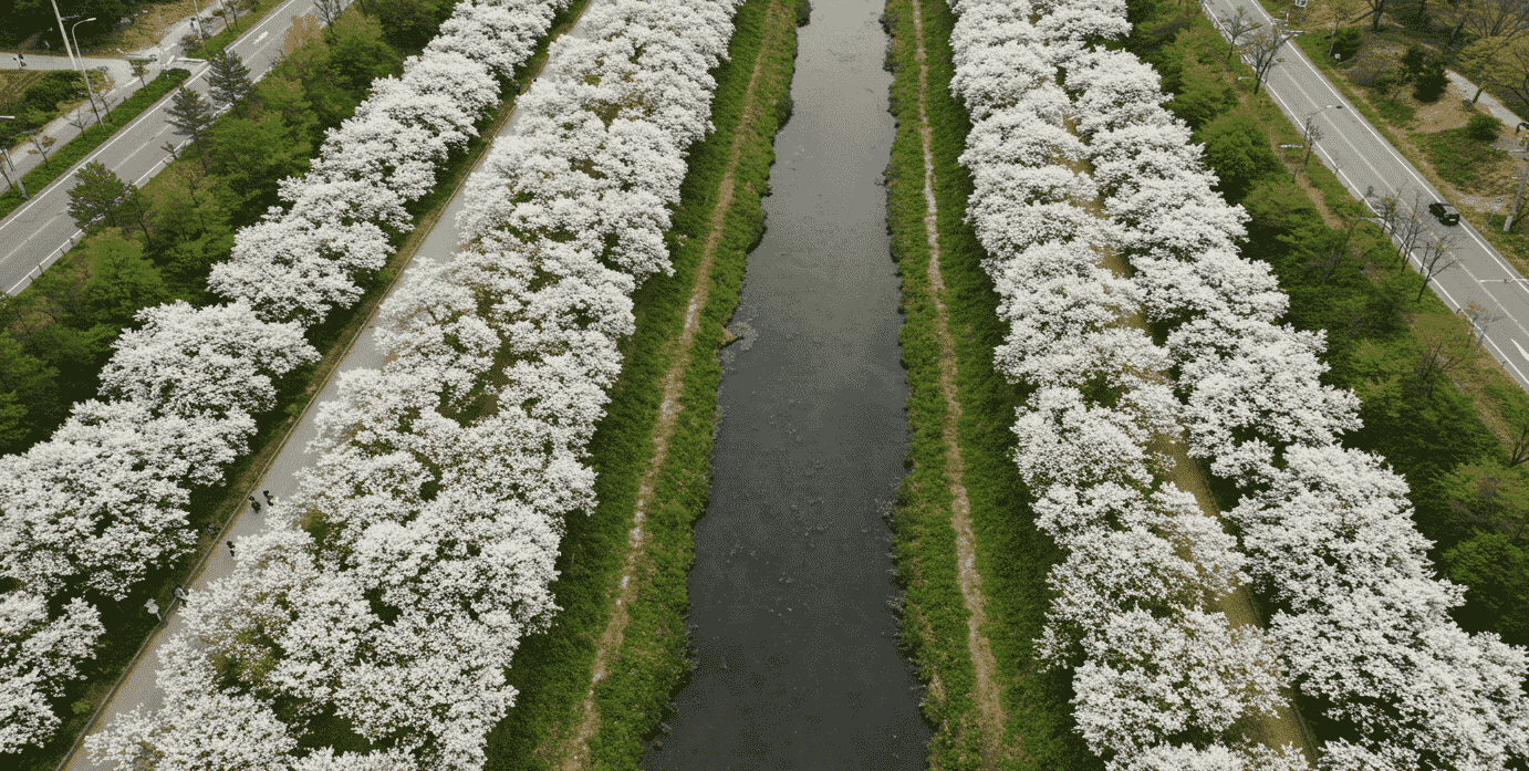 5월 꽃길 여행, 이팝나무길 필수코스
