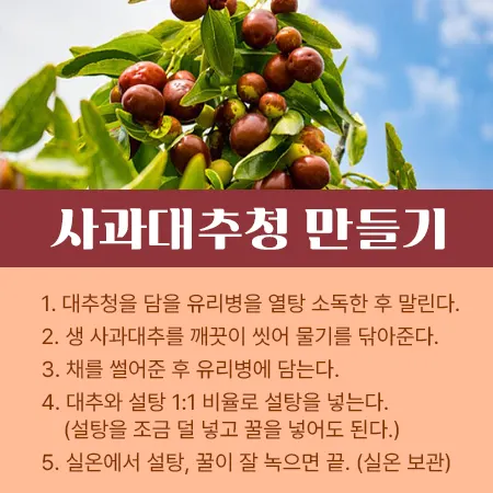 대추청 만들기