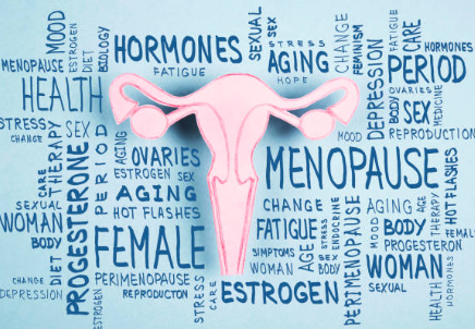 갱년기 증상 30가지