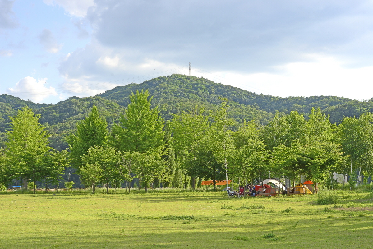여주 강천섬 유원지