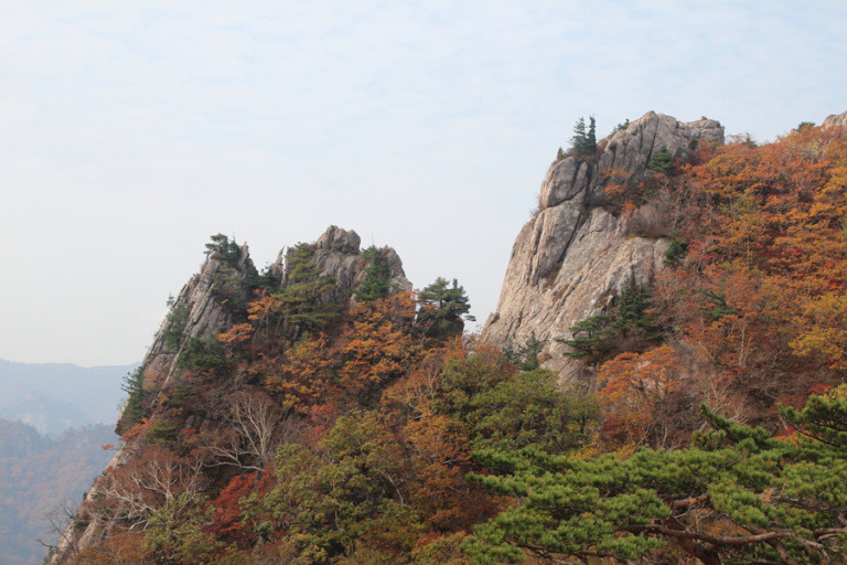 대체텍스트