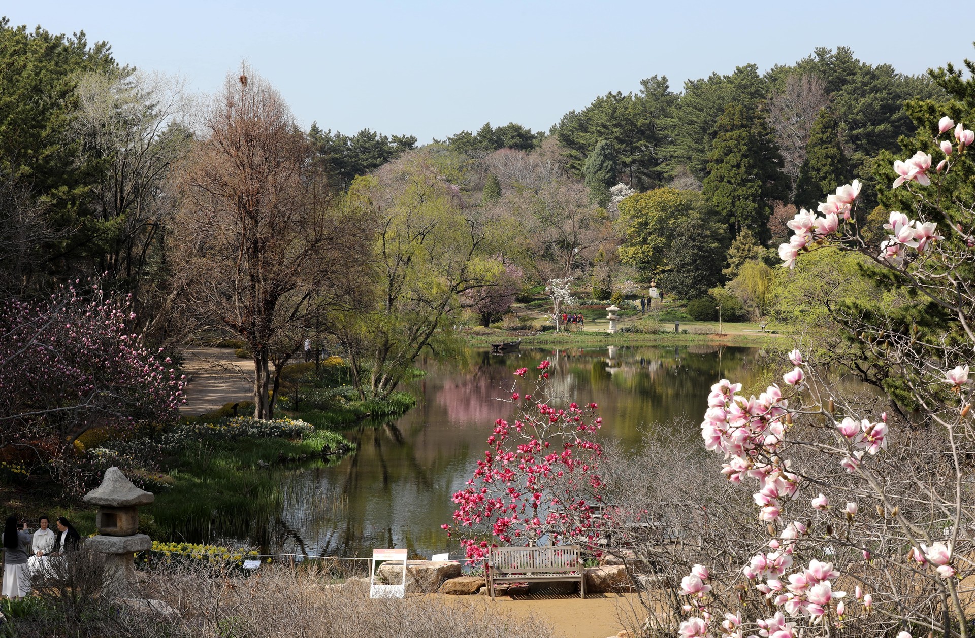 태안 튤립축제 기간, 입장료, 여행코스, 맛집 총정리