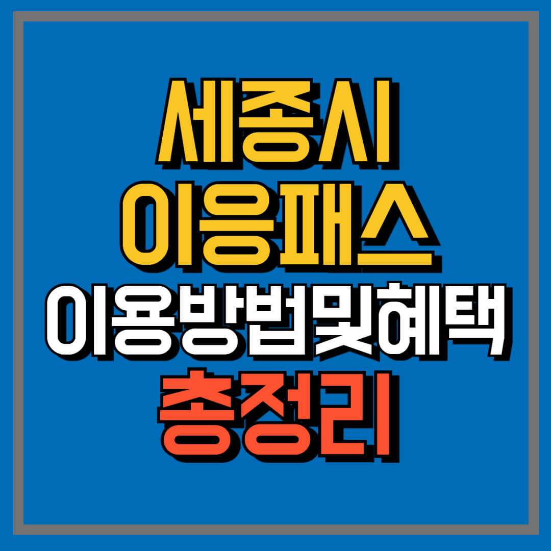 세종시이응패스신청
