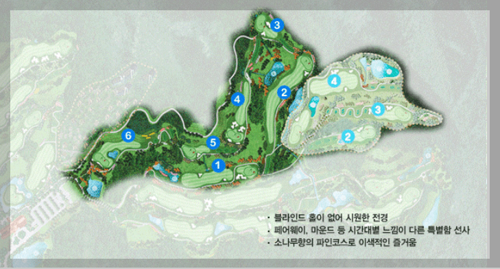 2인 노캐디 골프장