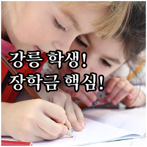 강릉 거주 학생 위한 2025 특기 ..