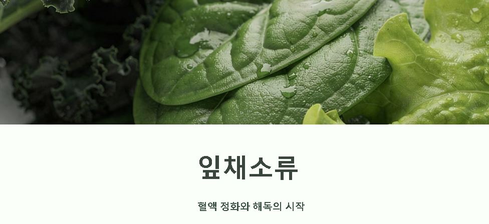 채소 종류 100가지