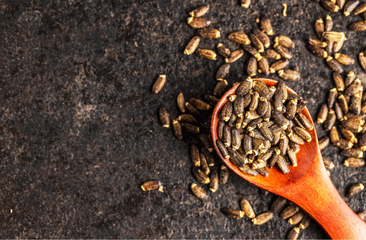 밀크씨슬 보조제