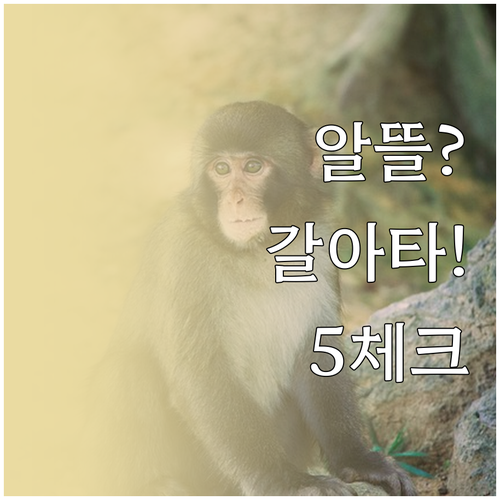 통신3사 대신 알뜰폰 갈아타기 전에 ..
