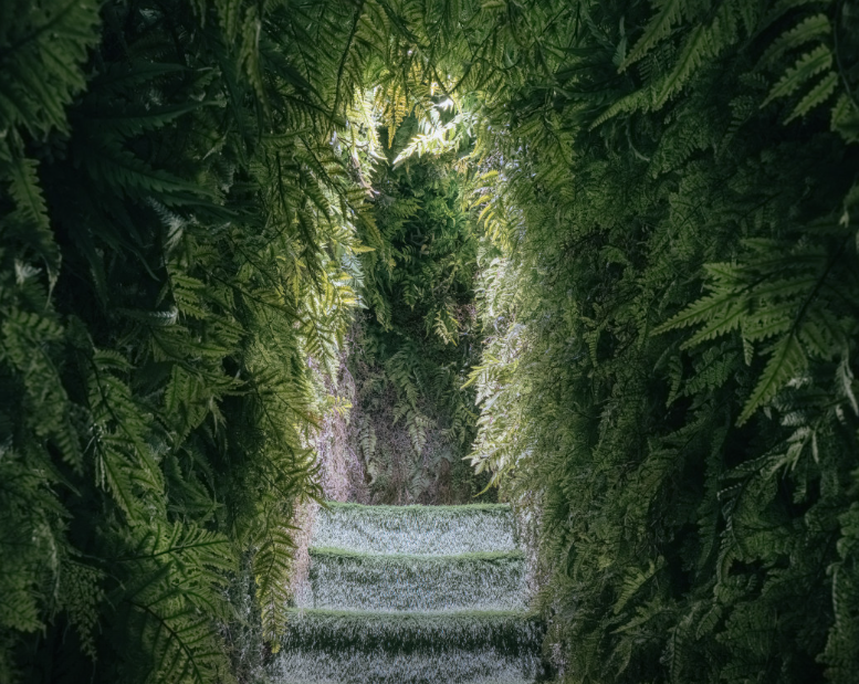 섬세이 테라리움