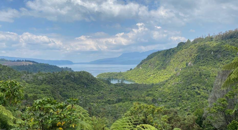 타라웨라 산의 싱그러운 사진