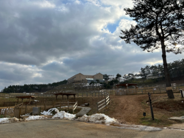 전북 고창 숙박 상하농원 파머스 빌리지 패밀리룸 조식