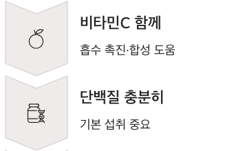 콜라겐 단백질 충분히