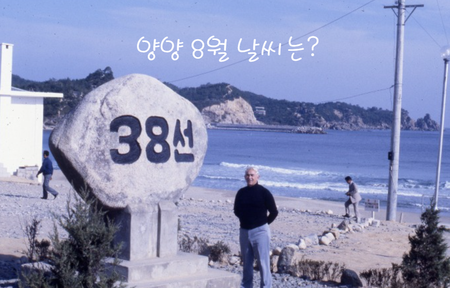 양양