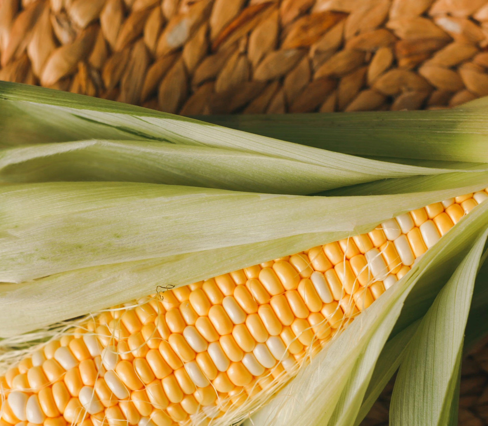 옥수수차 물대신