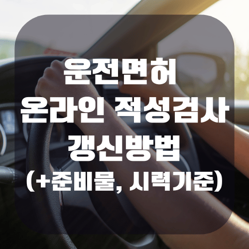 운전면허 적성검사 갱신 온라인 방법(+준비물, 시력기준)