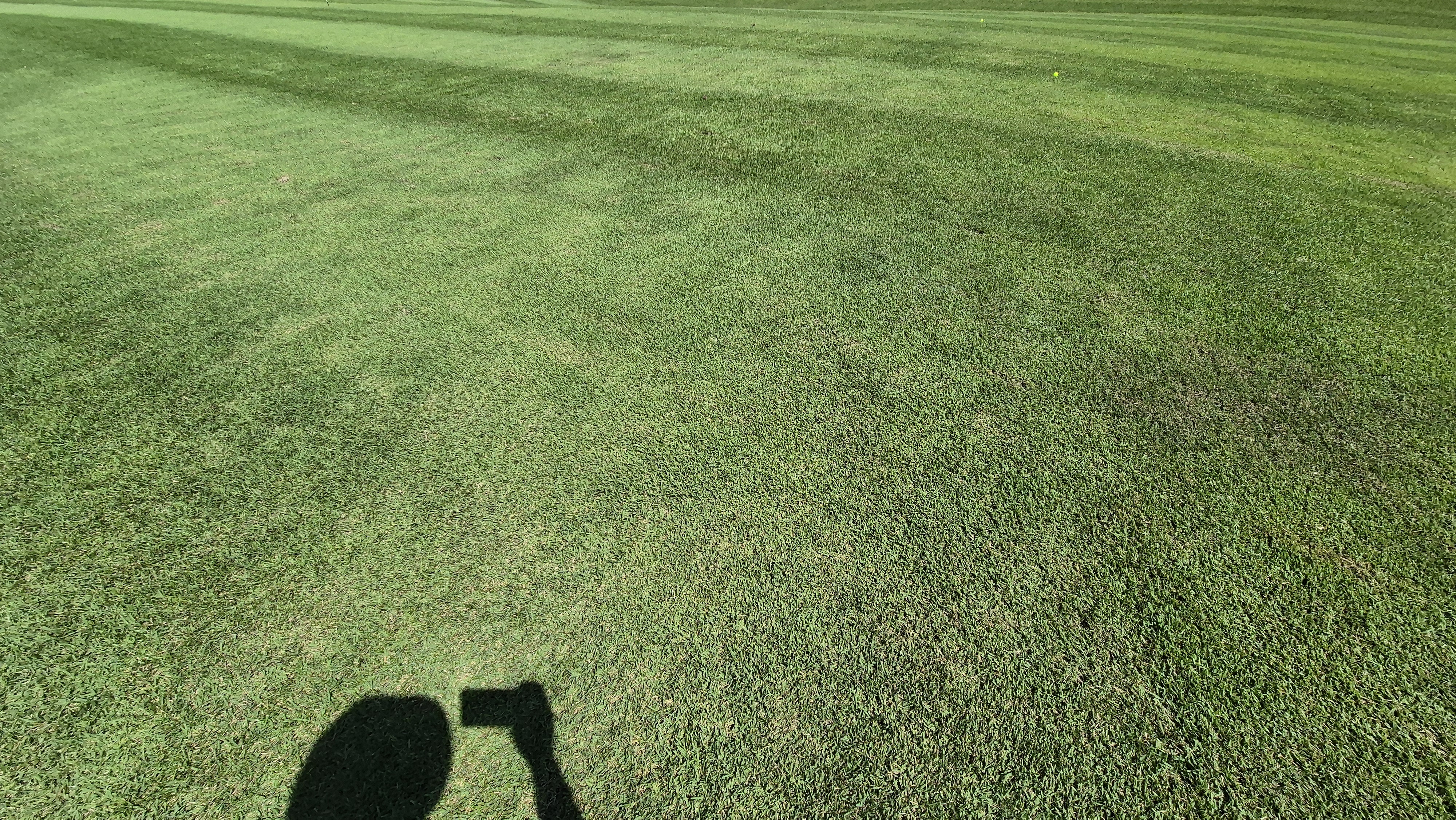 대영힐스cc 청-력 코스 라운드 후기