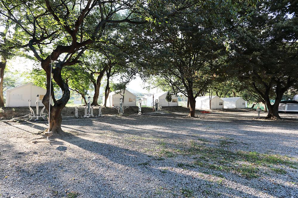 경북 포항 봉좌마을캠핑장 소개