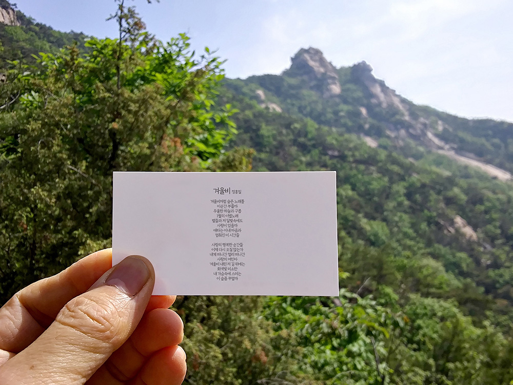 정홍일의 겨울비