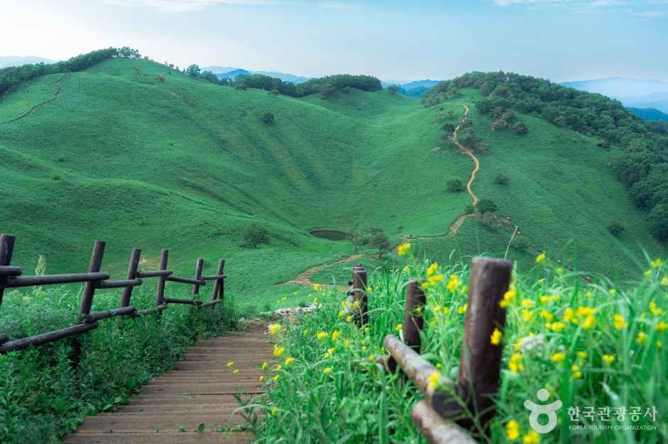 정선 가볼만한곳 베스트10