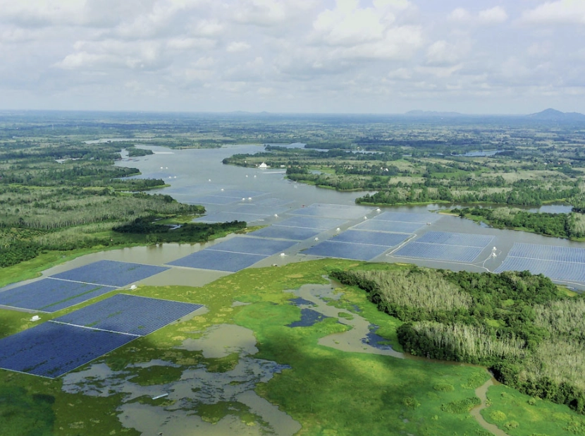 사이프러스-솔라-사진