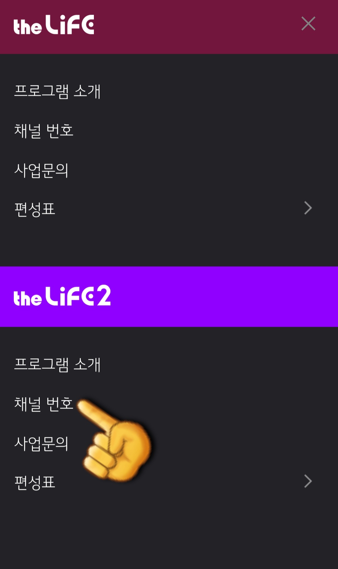 The-Life2(더라이프2)-편성표-및-채널번호-확인-방법-안내-그러면-하단의-The-Life2-홈페이지에서는-프로그램-소개,-채널번호,-사업문의,-편성표-메뉴가-보이는데요.-여기에서-두-번째-줄에-있는-채널번호를-클릭하세요.