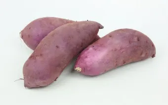 고구마 삶는법 맛있게 황금레시피 효능 칼로리_2