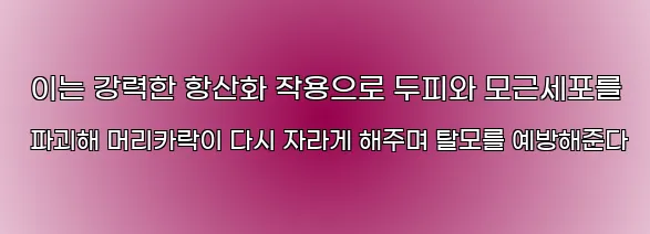  이는 강력한 항산화 작용으로 두피와 모근세포를 파괴해 머리카락이 다시 자라게 해주며 탈모를 예방해준다