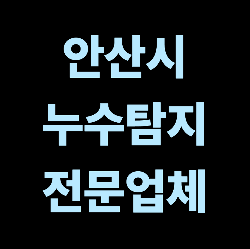 안산시 누수탐지 전문업체