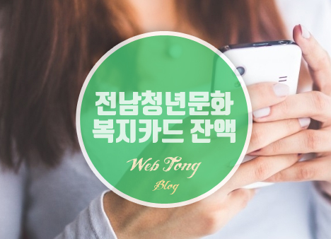 전남청년문화복지카드 잔액 조회