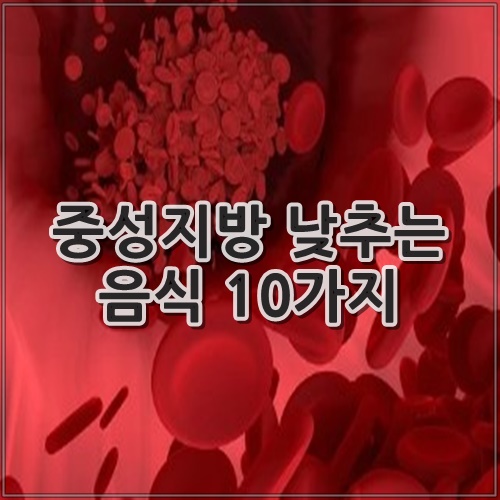 중성지방 낮추는 음식 10가지